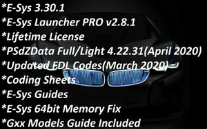 Psdzdata bmw full