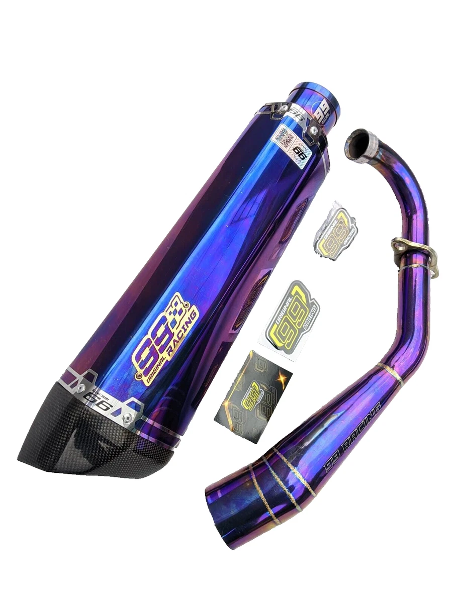 KING SPECIAL EXHAUST 紫 マフラー Stainless Steel Purple Motorcycle Silencers, Mufflers and Baffles