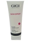 Gigi Collagen Elastin Moist Cream for Dry Skin 250ml
