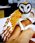 BARN OWL 16cm Fully articulated 3d Printed Model sweet Item  - New See Pics