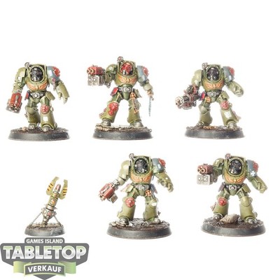 Space Marines - 5 x Terminator Squad - bemalt