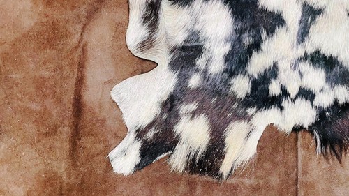 Tricolor Nordic Goat Hide, Real Leather Pelt, Summer Fur Coat, Animal Skin - Picture 8 of 9