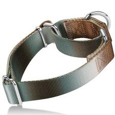 Martingale Dog Collar Colorful Gradient Fashionable - Anti-Escape Soft Durabl...