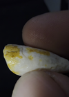 Video 1 of 1