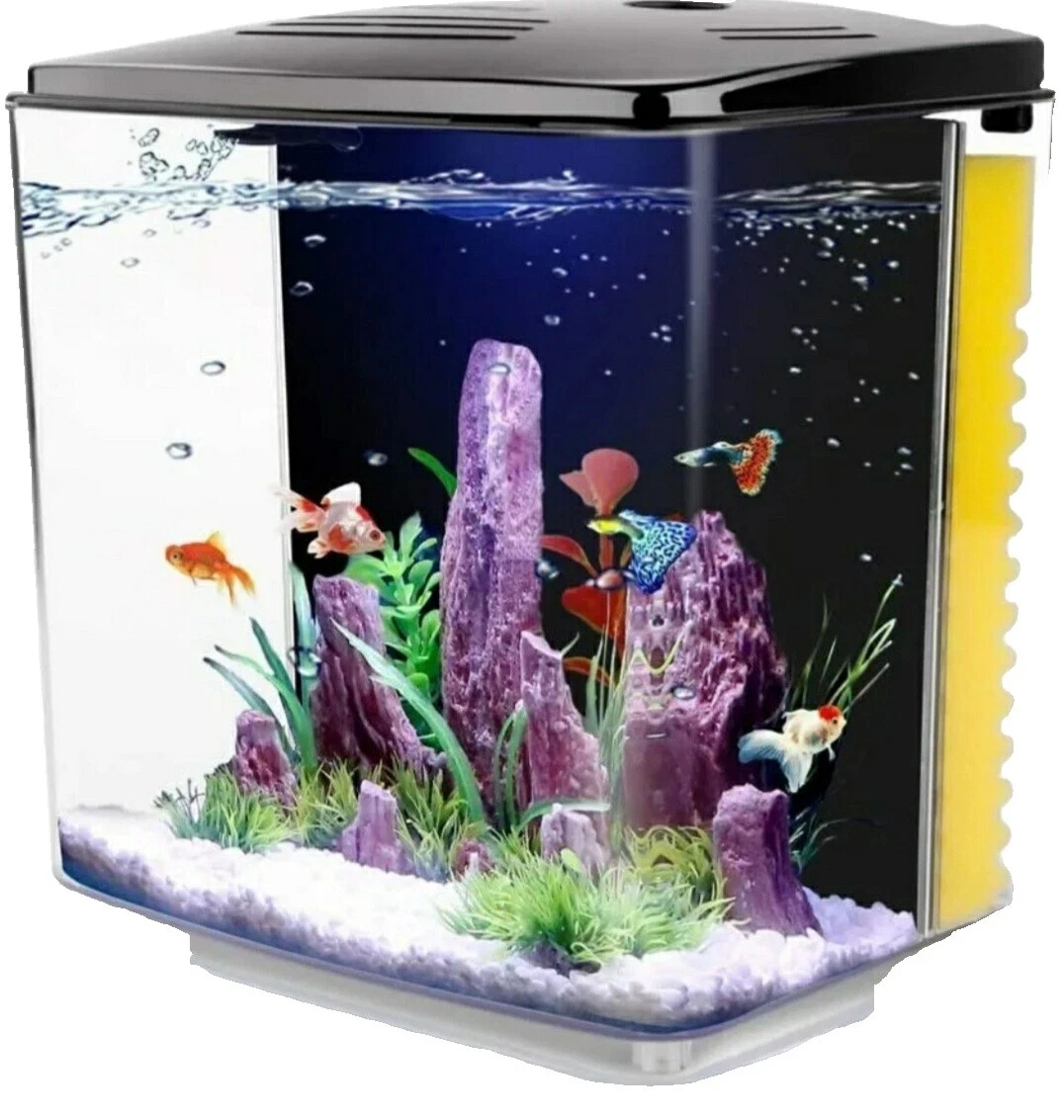 Acrylic Tank Square Aquariums & Tanks