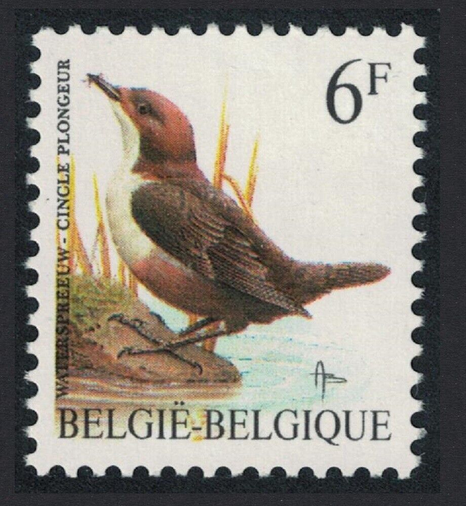 E Belgium Max Max 70% OFF 41% OFF White-throated dipper Bird 6 Plongeur' 'Cincle Buzin