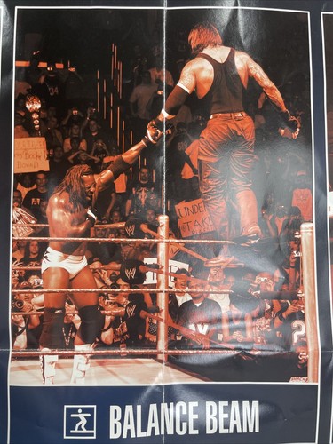 2004 WWE Summerslam Poster 38x27 Movie Size - Picture 3 of 7