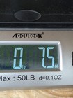 Bild 16 von 17