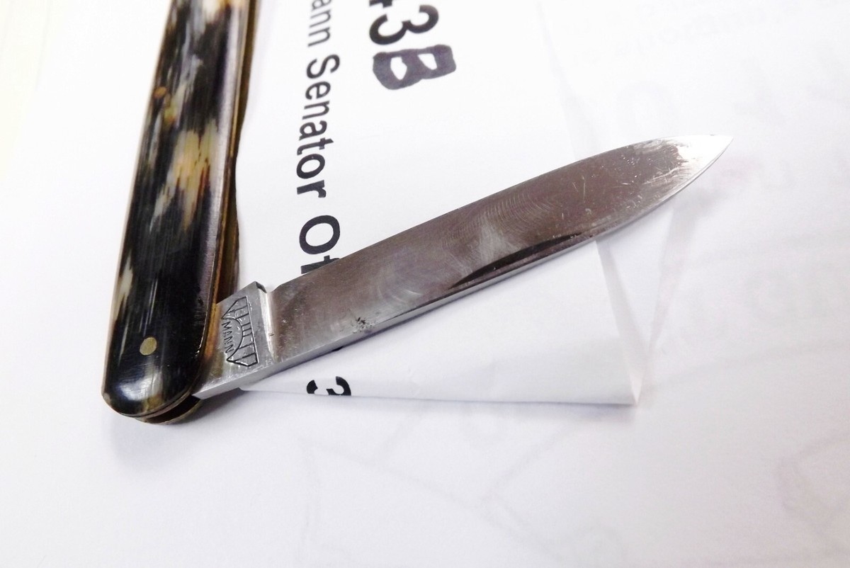 E. Bruckmann Mann Medium Senator 1950s Pen Pocket Knife Horn