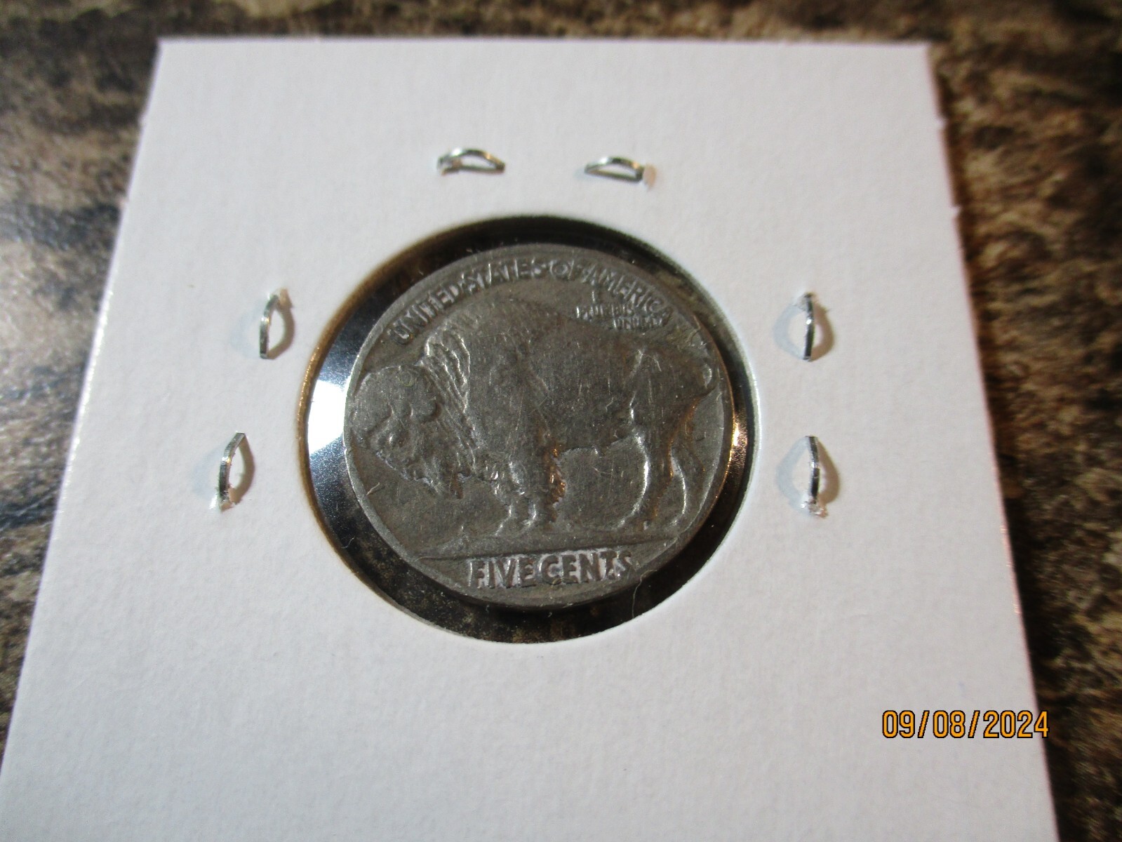 Picture 3 of 5