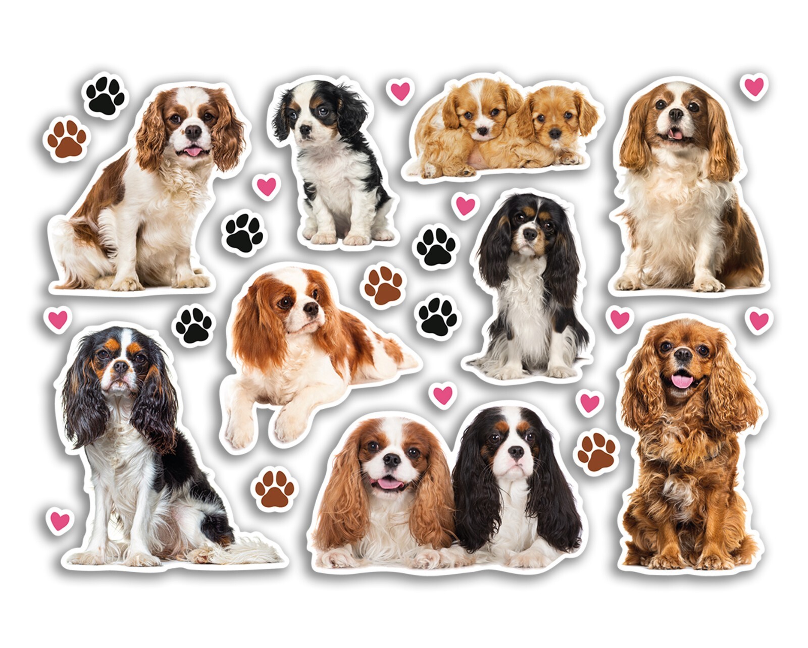 A5 Sticker Sheet Border Terrier Vinyl Stickers - Dogs Pet Puppy Scrapbook #82583 - Image 36