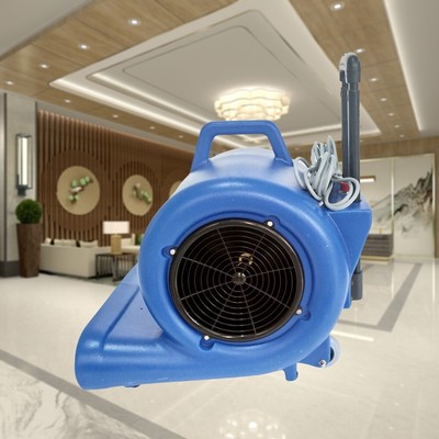 Commercial Household Ground Carpet Blown Dry Machine Floor Carpet Blow Dryer