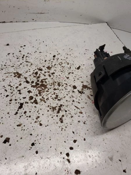 Luz de canto/parque para passageiros neblina parachoque montado se encaixa 04-15 TITAN 1162593 - Imagem 2 de 4