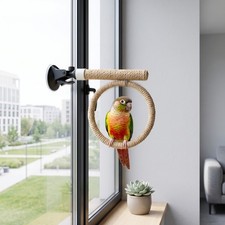 Suction Cup Bird Toy Swing Set Hanging Bird Standing Perch Parrot Play Stand Toy