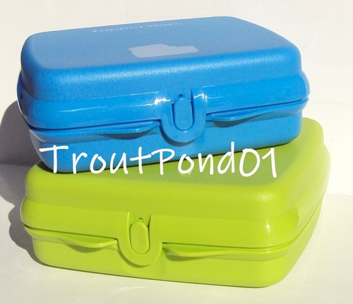 Tupperware Sandwichbehälter eckig Vorratsbehälter 2er Set blau und grün Neu - Bild 1 von 2