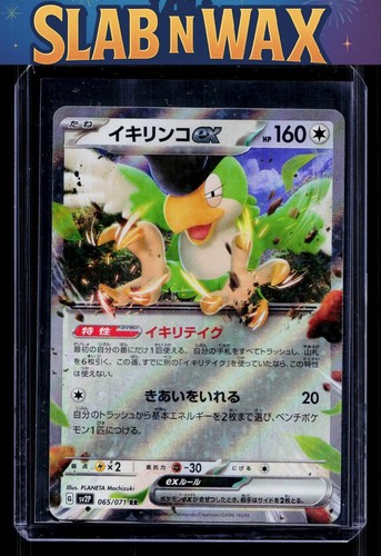 Pokemon tcg SV2P: Snow Hazard Squawkabilly ex #065/071 Japanese, Holo