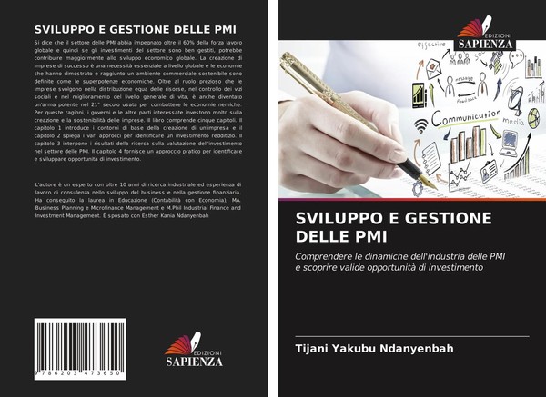 Sviluppo E Gestione Delle PMI Tijani Yakubu Ndanyenbah Taschenbuch Italienisch-image
