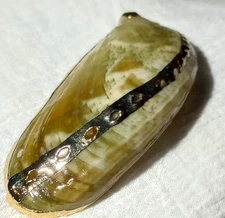Vintage Gold Dipped Shell Pendant (donkey's ear abalone shell)