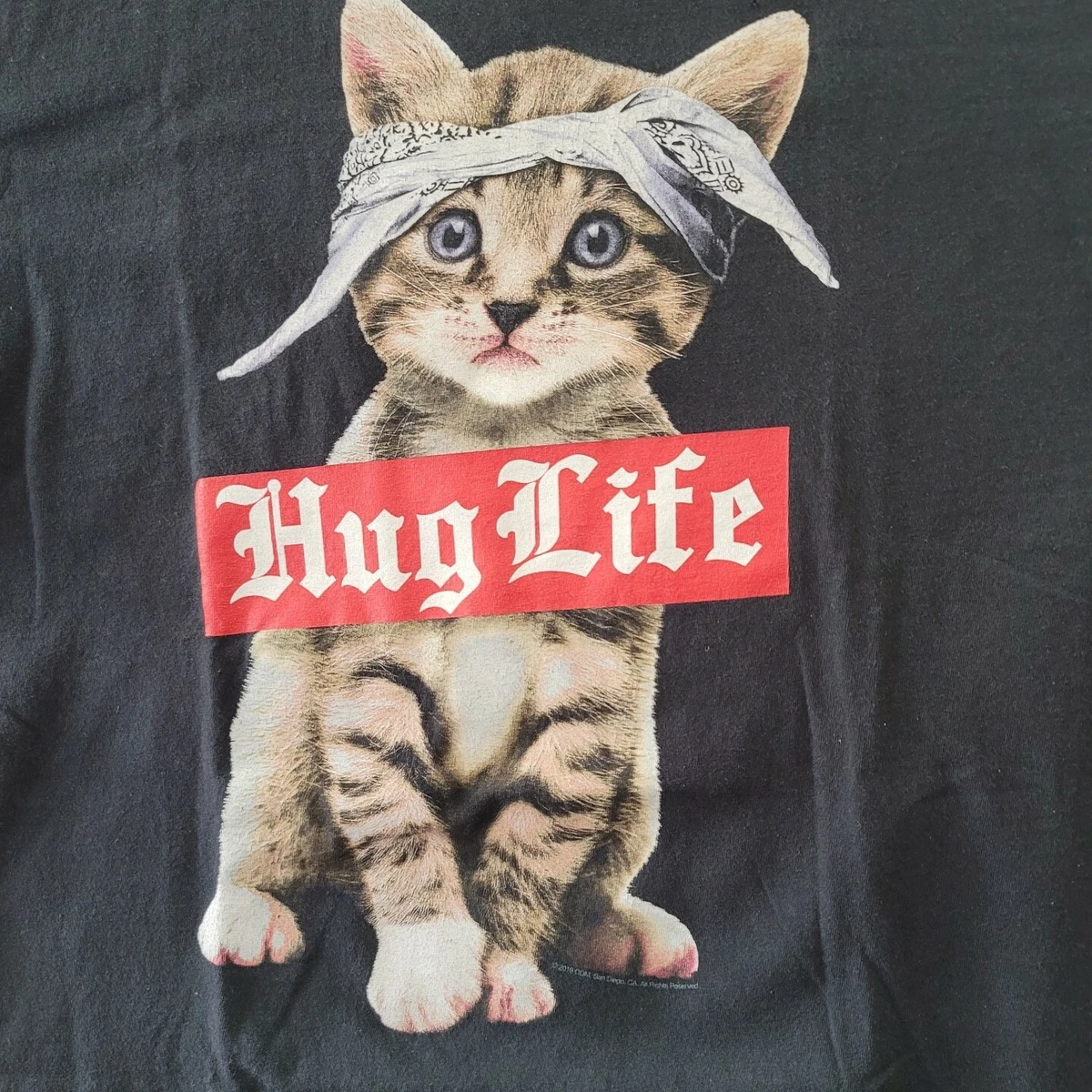 Kitten it shirt 2025
