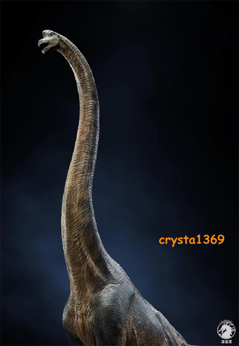Modellino dinosauro 1/35 W-Dragon Giraffatitan personaggio Brachiosauro Sauropoda giocattoli - Foto 9 di 15
