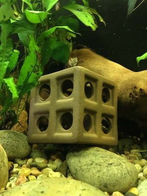 ceramic fish tank decorations