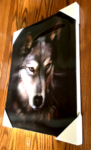 3D WILDLIFE LENTICULAR PRINT / PICTURE / WALL ART - WOLF FACE - Picture 6 of 7