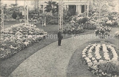 Gand Belgien Exposition de 1913 Floralies Gantoises Fleurs
