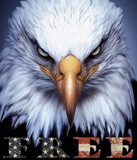 American Eagle Free Sticker Decal Laptop Wall Mirror Cup Tumblr Locker
