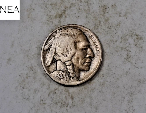 1920-D Buffalo Nickel ~ Very Fine VF ~ Semi-Key Date ~ ZB441