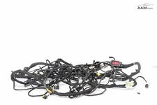 2018-24 FREIGHTLINER CASCADIA DD15 ENGINE WIRE WIRING HARNESS A66-03950-080 OEM