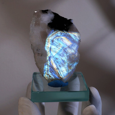 Celestial Window   Electric Blue Flash Natural Moonstone Polished Display Slab