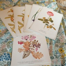 Vtg 80s Botanical Prints x 24 Various Flowers