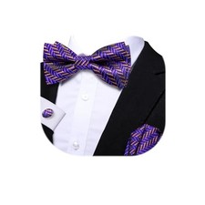 Mens Paisley Striped Bowtie Set Pre-tied Bowtie for Men and Violet Purple Gold