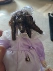 The San Francisco Music Box Company 1995 Doll Ashley I Believe — photo 9