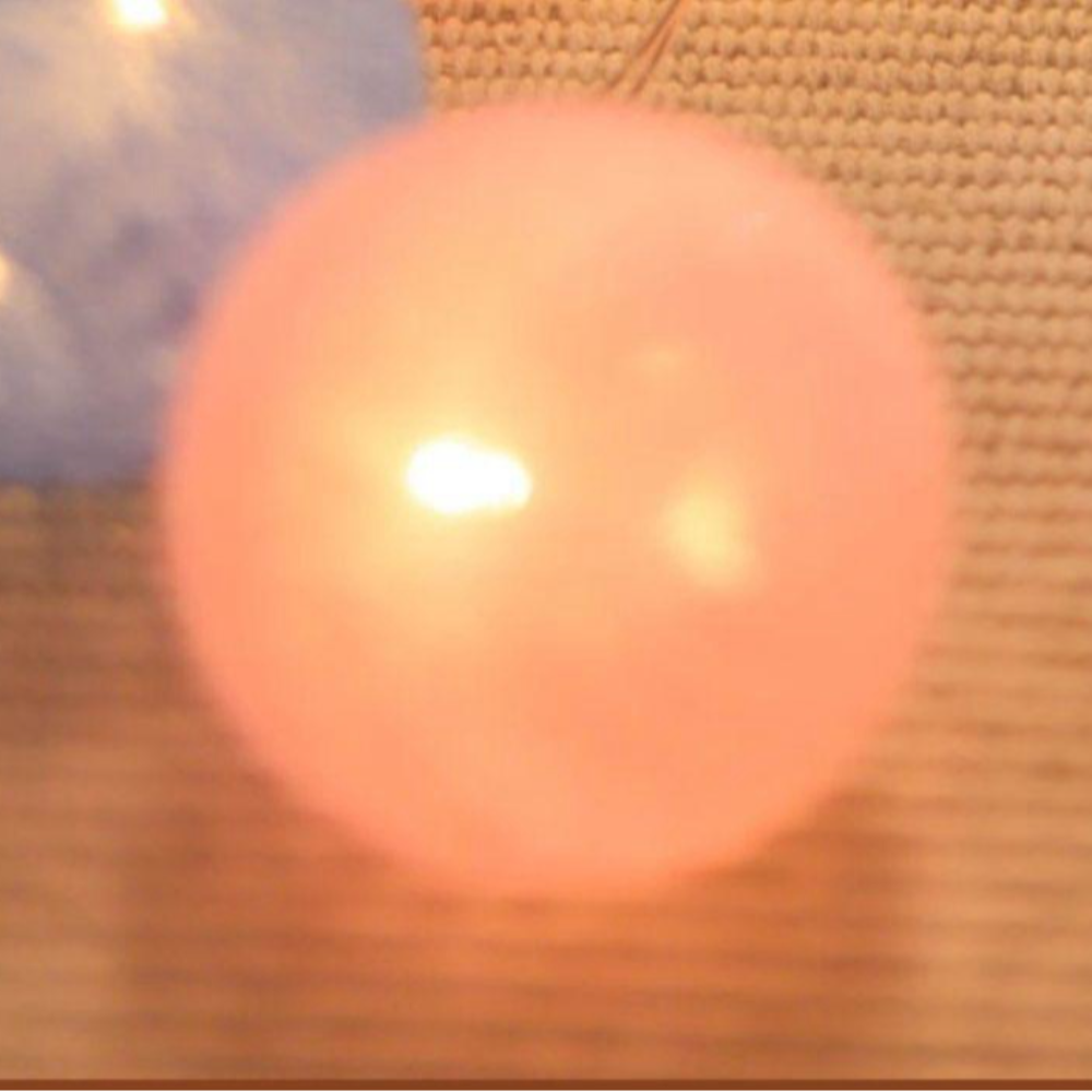 Bild 8 von 14