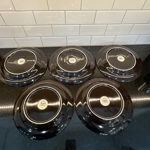 Set Of 5 Pier 1 Imports Teal Reactive 11” Dinner Plates Stoneware Brown Tan Lot - Picture 14 of 24