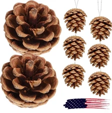 24× Christmas Natural Pine Cones Rustic Pinecones Bulk Xmas Ornaments Tree Decor