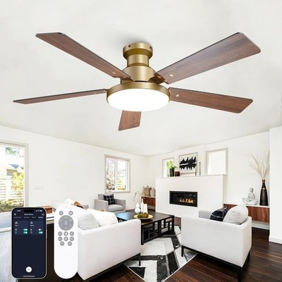 52in Low Profile Ceiling Fan with Lights, Modern Black and Gold