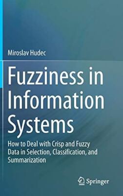 Fuzziness in Information Systems: How to Deal with Crisp and