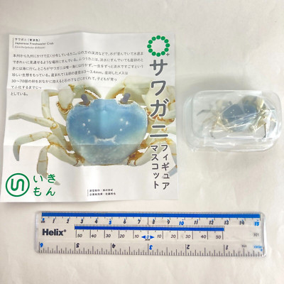 貝殻 Nature Techni Colour Mini Figure Japanese Freshwater Crab Light