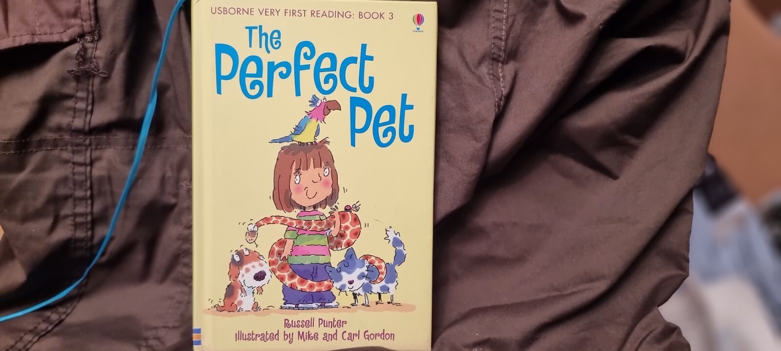 Usborne Very First Reading: The Perfect Pet By Russel Punt