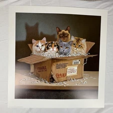 Braldt Bralds Six Pack LE S/N Lithograph Print No. 54/950 Cat Print