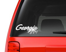 Georgia Roots Town City State Pride 6" White Vinyl Decal Sticker for Car