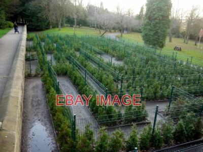 PHOTO  MAZE SALTWELL PARK THE £10 MILLION POUND MAKE-OVER OF SALTWELL PARK FUND