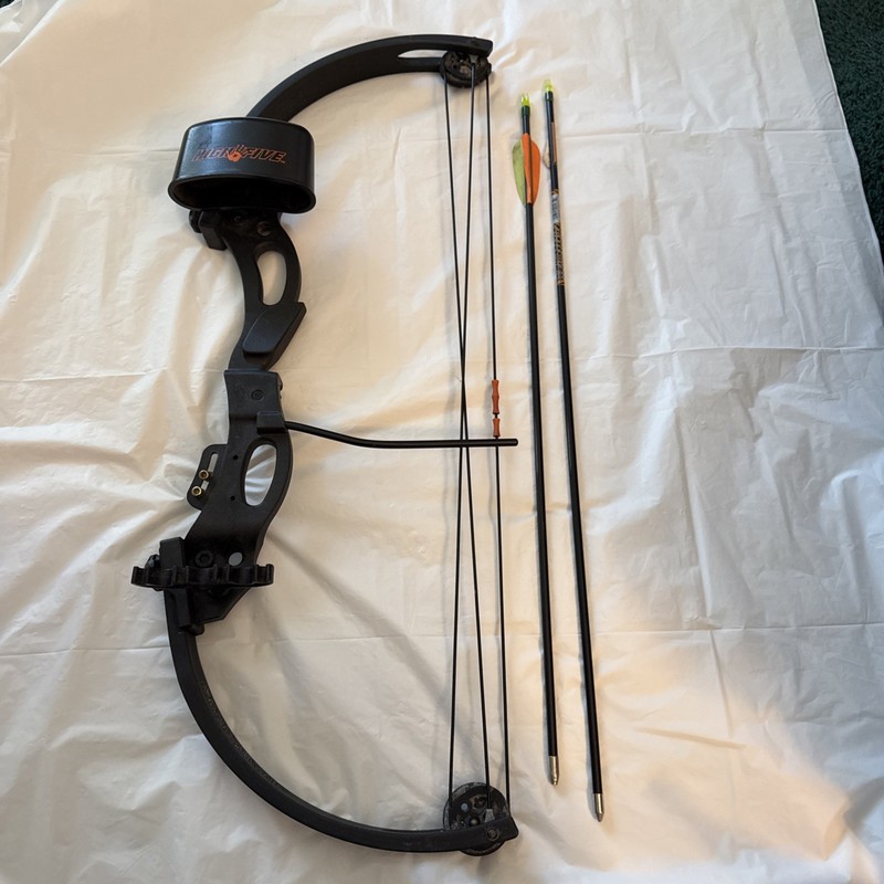 High Five Youth Compound Bow & Arrow Set Archery Practice Beginner w/ Arrows