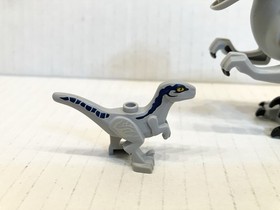 Genuine Lego Dinosaur Figures: Blue & Beta From Jurassic World Set 76946