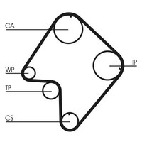 NEU - Continental Ctam CT832 Zahnriemen FüR Ford KIA Mazda Suzuki