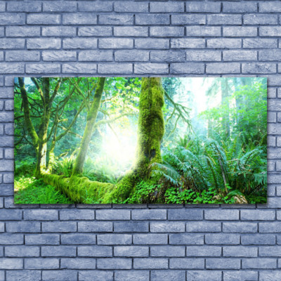 Acrylglasbilder Wandbilder Druck 140x70 Wald Natur