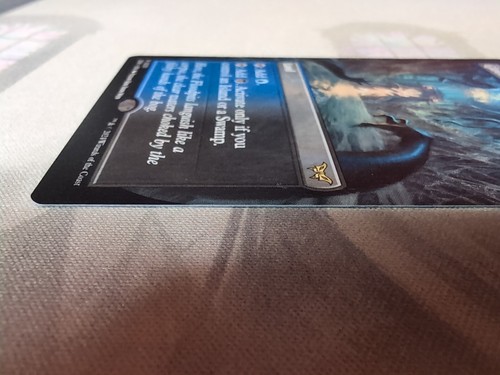 MTG - Gloomlake Verge - Borderless Non-foil - Duskmourn: House of Horror - Picture 9 of 11