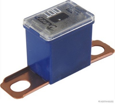 HERTH+BUSS ELPARTS Sicherung 50295468 Blisterpack